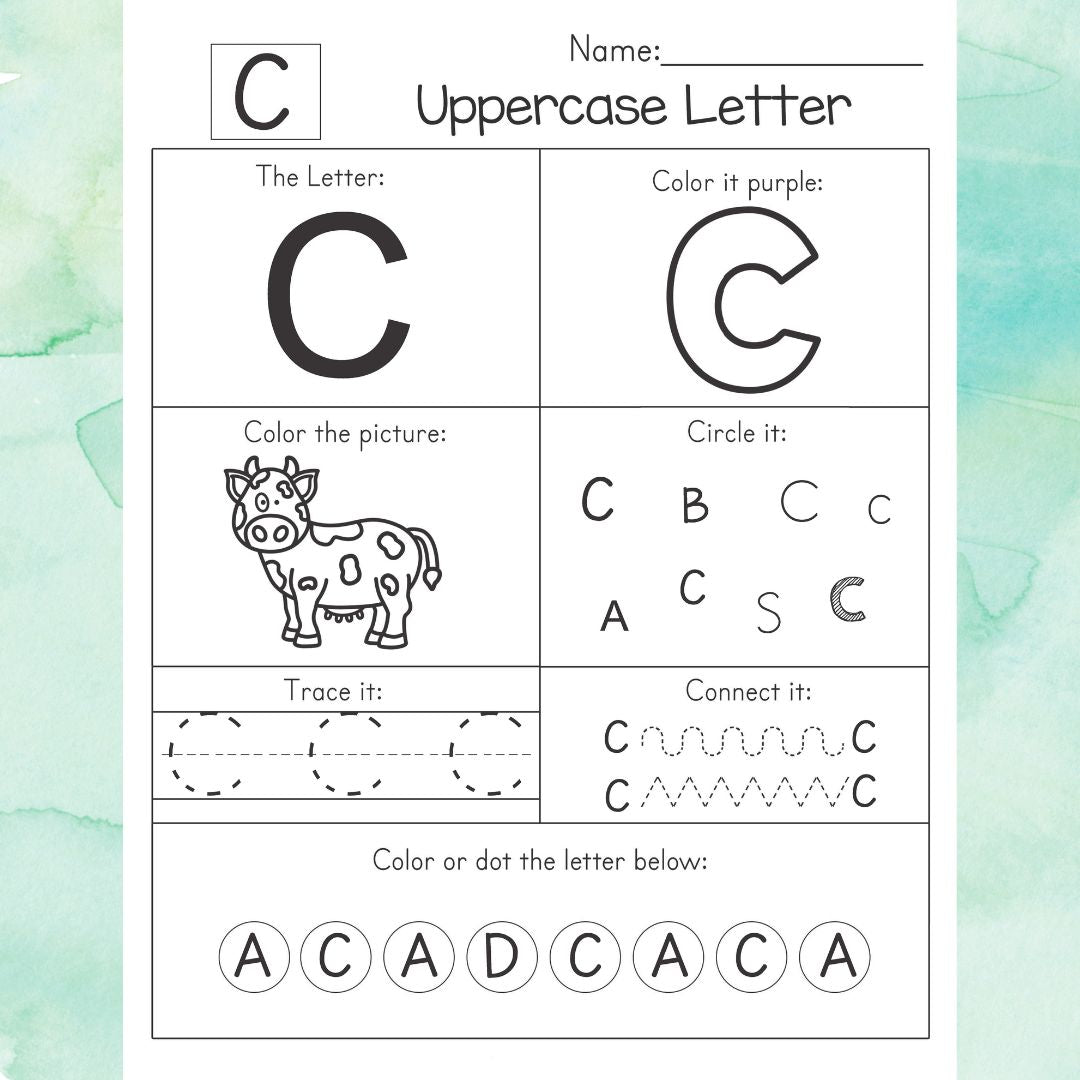 My Alphabet Workbook