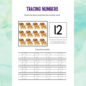 Numbers 1-20 Workbook