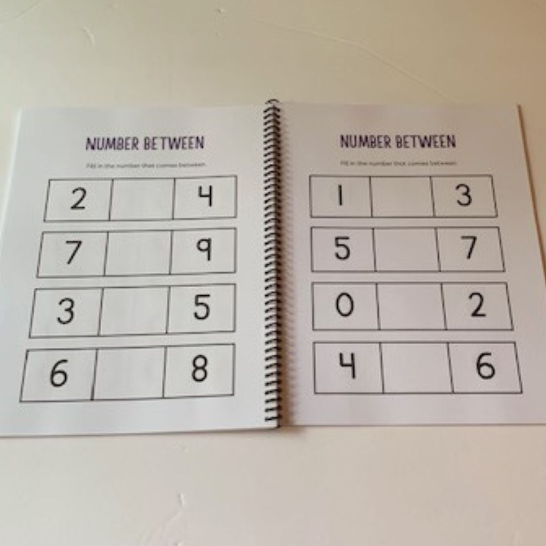 Numbers 1-20 Workbook